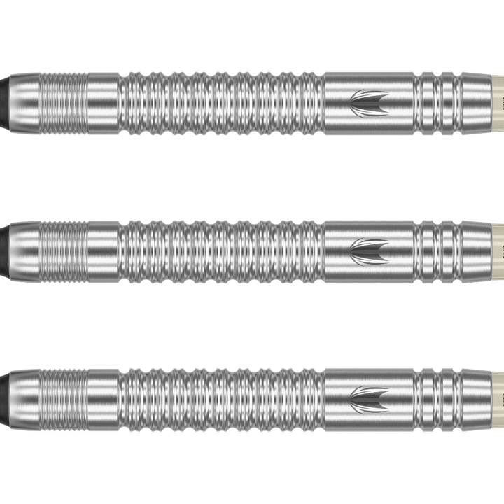 Target Dimitri van den Bergh G2 Softdarts Detail