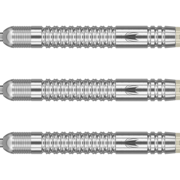 Target Dimitri van den Bergh G2 Swiss Point Steeldarts Set