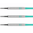 Target Rob Cross Silver Voltage Softdarts Detail