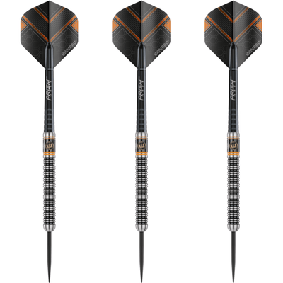 Winmau Danny Noppert Steeldarts Set